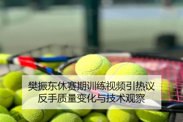 樊振东休赛期训练视频引热议 反手质量变化与技术观察
